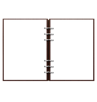  «Органайзер Filofax Clipbook A5 Architexture Rosewood (145005)», бренду Filofax - фото №3 - мініатюра