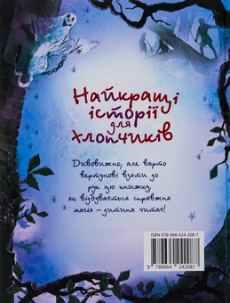 Паперова книга «Найкращі історії для хлопчиків» - фото №2 - мініатюра