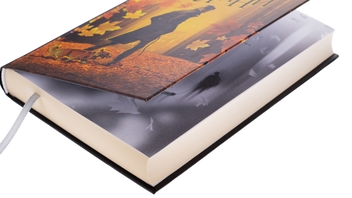 Бумажная книга «Жовті цеглини», автор Мира Бо - фото №4 - миниатюра