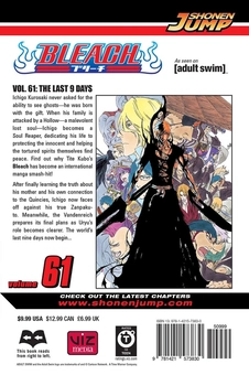 Паперова книга «Bleach. Volume 61», автор Тайто Кубо - фото №3 - мініатюра