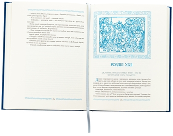Бумажная книга «Амадіс Ґальський», автор Гарси Р. де Монтальво - фото №5 - миниатюра