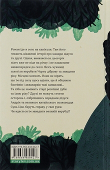 Бумажная книга «Примари Чорної діброви», автор Андрей Бачинский - фото №2 - миниатюра