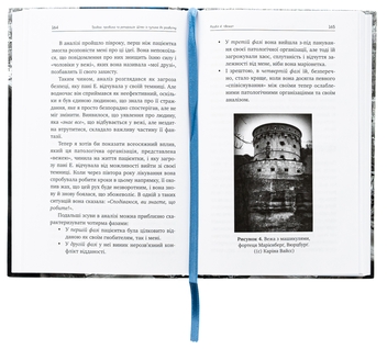 Бумажная книга «Травма, провина та репарація. Шлях із тупика до розвитку», автор Хайнц Вайсс - фото №5 - миниатюра