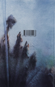 Паперова книга «Е.Е.», автор Ольга Токарчук - фото №2 - мініатюра