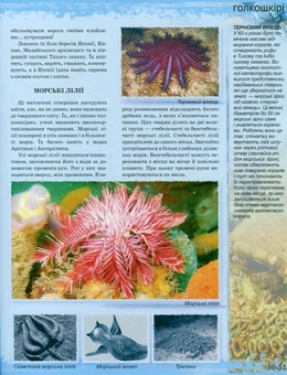 Паперова книга «Світ морів та океанів», автор Тетяна Коханій - фото №5 - мініатюра
