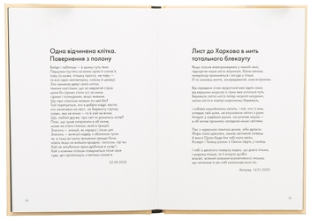 Паперова книга «Сили безплотні, людські й безпілотні», автор Ганна Яновська - фото №6 - мініатюра