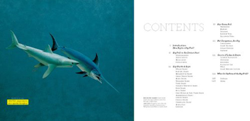 Бумажная книга «Big Fish», автор Ричард Эллис - фото №3 - миниатюра