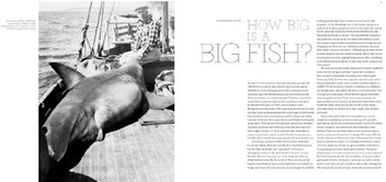 Бумажная книга «Big Fish», автор Ричард Эллис - фото №4 - миниатюра