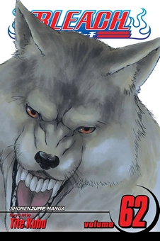 Паперова книга «Bleach. Volume 62», автор Тайто Кубо - фото №1 - мініатюра