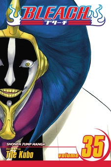 Паперова книга «Bleach. Volume 35», автор Тайто Кубо - фото №1 - мініатюра