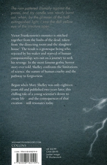 Бумажная книга «Frankenstein», автор Мэри Шелли - фото №3 - миниатюра