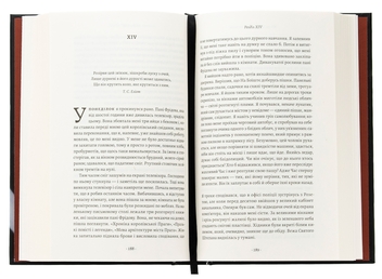 Бумажная книга «Сім костелів. Готичний роман з Праги», автор Милош Урбан - фото №5 - миниатюра