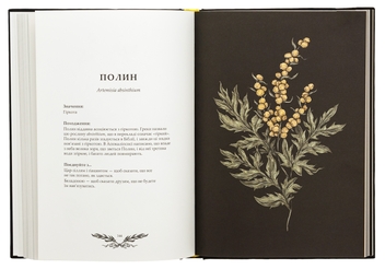 Бумажная книга «Флорографія. Ілюстрований довідник з вікторіанської мови квітів», автор Джессика Ру - фото №6 - миниатюра