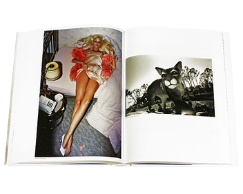 Бумажная книга «Helmut Newton. Sumo (подарочный комплект в коробке с подставкой для книги)» - фото №7 - миниатюра