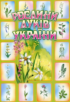 Бумажная книга «Рослини луків України» - фото №2 - миниатюра