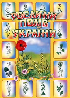 Бумажная книга «Рослини полів України» - фото №2 - миниатюра