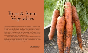 Бумажная книга «Grow Vegetables», автор Алан Букингем - фото №2 - миниатюра