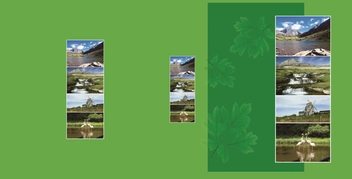 «Фотоальбом EVG S29x32 Fresh (30sheet S29x32 Fresh)», бренда EVG - фото №2 - миниатюра