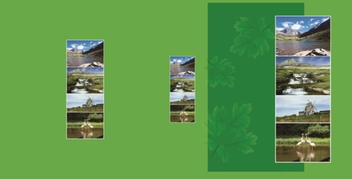 «Фотоальбом EVG S29x32 Fresh (30sheet S29x32 Fresh)», бренда EVG - фото №1 - миниатюра