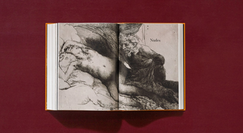 Паперова книга «Rembrandt. The Complete Drawings and Etchings», авторів Пітер Шетборн, Ерік Хінтердінг - фото №17 - мініатюра