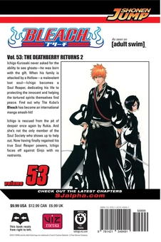 Бумажная книга «Bleach. Volume 53», автор Тайто Кубо - фото №2 - миниатюра