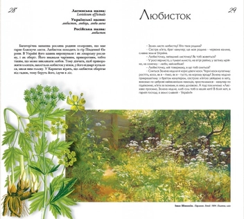 Бумажная книга «Український квітник», автор Зирка Мензатюк - фото №5 - миниатюра