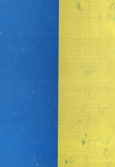 Паперова книга «Ідея і чин України», автор Дмитро Мирон-Орлик - фото №3 - мініатюра