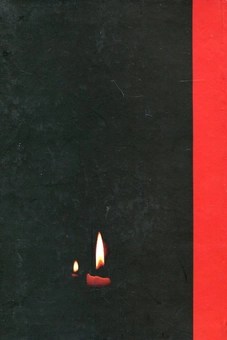 Паперова книга «Розсекречена пам'ять. Голодомор 1932-1933 років в Україні в документах ГПУ - НКВД» - фото №3 - мініатюра