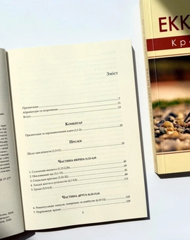 Паперова книга «Екклезіаст. Крах сенсу», автор Віктор Морла - фото №2 - мініатюра