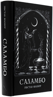 Паперова книга «Саламбо», автор Гюстав Флобер - фото №3 - мініатюра