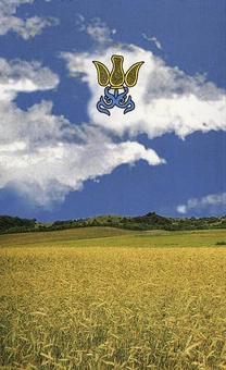 Бумажная книга «Велесова книга» - фото №3 - миниатюра