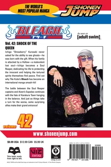 Бумажная книга «Bleach. Volume 42», автор Тайто Кубо - фото №2 - миниатюра