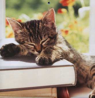 Бумажная книга «Перекидний календар на 2011 рік. Маленькі пухнастики» - фото №4 - миниатюра