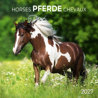 Бумажная книга «Pferde / Horses / Chevaux 2027» - фото №1 - миниатюра