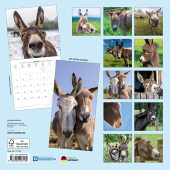 Паперова книга «Esel / Donkeys / Ânes 2027» - фото №2 - мініатюра