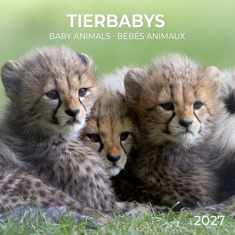 Паперова книга «Tierbabys /Baby Animals / Bébés Animaux 2027» - фото №1 - мініатюра