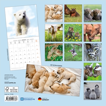 Паперова книга «Tierbabys /Baby Animals / Bébés Animaux 2027» - фото №2 - мініатюра