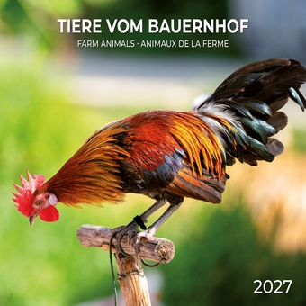 Паперова книга «Tiere vom Bauernhof / Farm Animals / Animaux de la Ferme 2027» - фото №1 - мініатюра