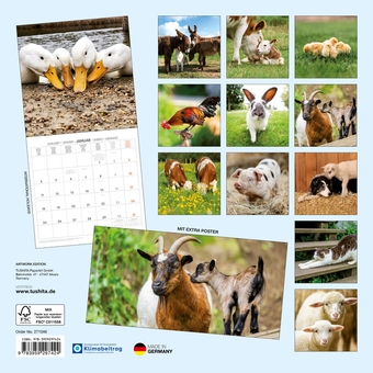 Паперова книга «Tiere vom Bauernhof / Farm Animals / Animaux de la Ferme 2027» - фото №2 - мініатюра