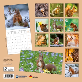 Бумажная книга «Eichhörnchen / Squirrels / Écureuils 2027» - фото №2 - миниатюра