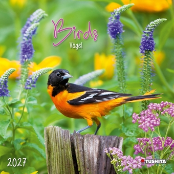 Бумажная книга «Birds 2027» - фото №1 - миниатюра
