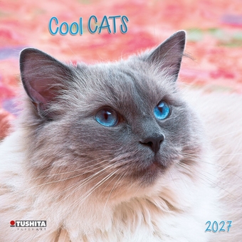 Бумажная книга «Cool Cats 2027» - фото №1 - миниатюра