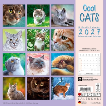 Бумажная книга «Cool Cats 2027» - фото №2 - миниатюра
