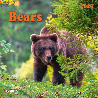 Бумажная книга «Bears 2027» - фото №1 - миниатюра