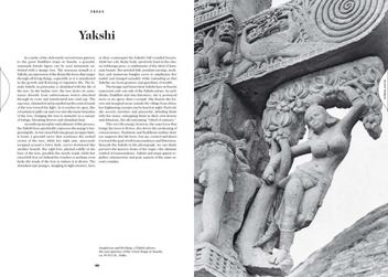 Паперова книга «The Book of Symbols. Reflections on Archetypal Images» - фото №13 - мініатюра