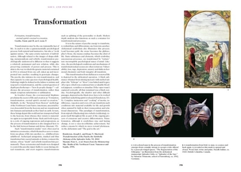 Паперова книга «The Book of Symbols. Reflections on Archetypal Images» - фото №25 - мініатюра