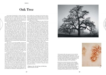 Паперова книга «The Book of Symbols. Reflections on Archetypal Images» - фото №12 - мініатюра