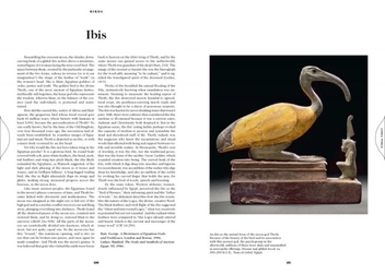 Паперова книга «The Book of Symbols. Reflections on Archetypal Images» - фото №17 - мініатюра