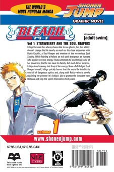 Паперова книга «Bleach. Volume 1», автор Тайто Кубо - фото №2 - мініатюра