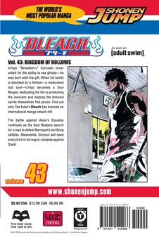 Бумажная книга «Bleach. Volume 43», автор Тайто Кубо - фото №2 - миниатюра